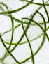 Anti-Age Hydrogel Eye Patches